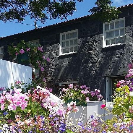 Casa Do Ze - Al ξενώνας Manadas Εξωτερικό φωτογραφία