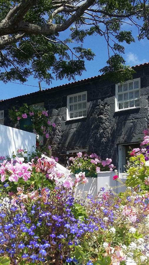 Casa Do Ze - Al ξενώνας Manadas Εξωτερικό φωτογραφία